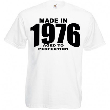 Tee Shirt " AGE DE LA PERFECTION" ADULTE