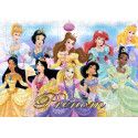 Princesses Disney 