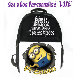 Les Minions V11