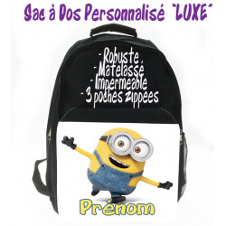 Les Minions V12