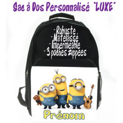 Les Minions V14