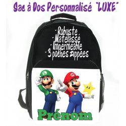 Mario et Luigi V4