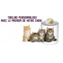 TIRELIRE "CHATONS" 