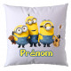 LES MINIONS V7