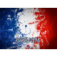 FRANCE V4