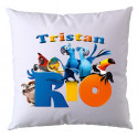 HOUSSE SEULE : RIO V1