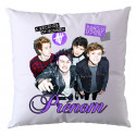 HOUSSE SEULE : 5 SECONDS OF SUMMER 
