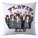 HOUSSE SEULE : EXO V1