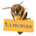 Propolis simplement 